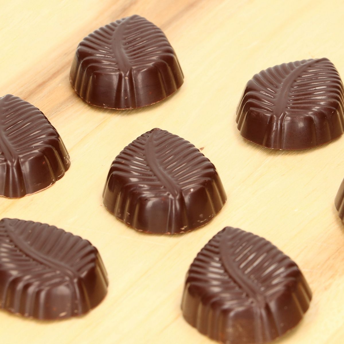 FunCakes Chocolate Mould Leaf - Afbeelding 1
