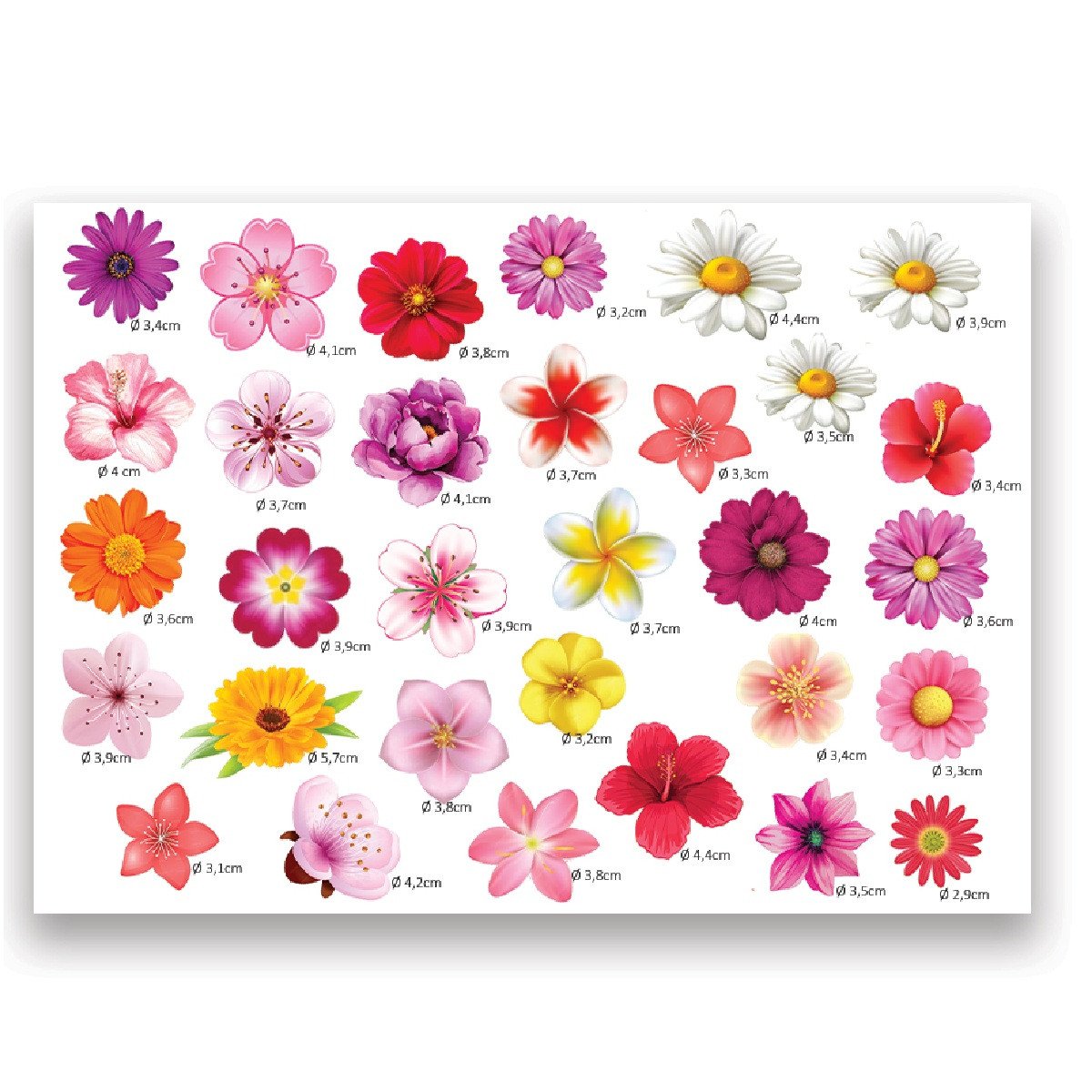 Decoratie Sheet Bloemen - Afbeelding 2