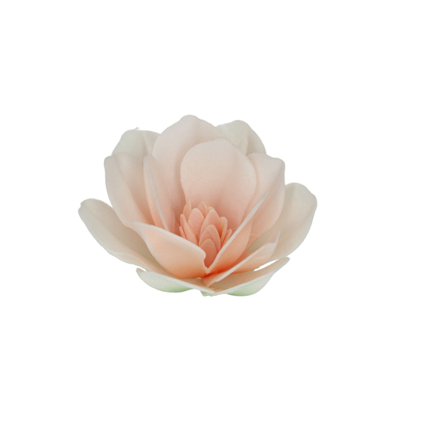 FunCakes Eetbare Papieren Bloemen Deluxe Magnolia Wit Groot pk/6 - Afbeelding 1