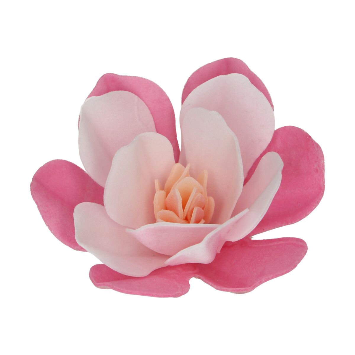 FunCakes Eetbare Papieren Bloemen Deluxe Magnolia Roze Large pk/6 - Afbeelding 2
