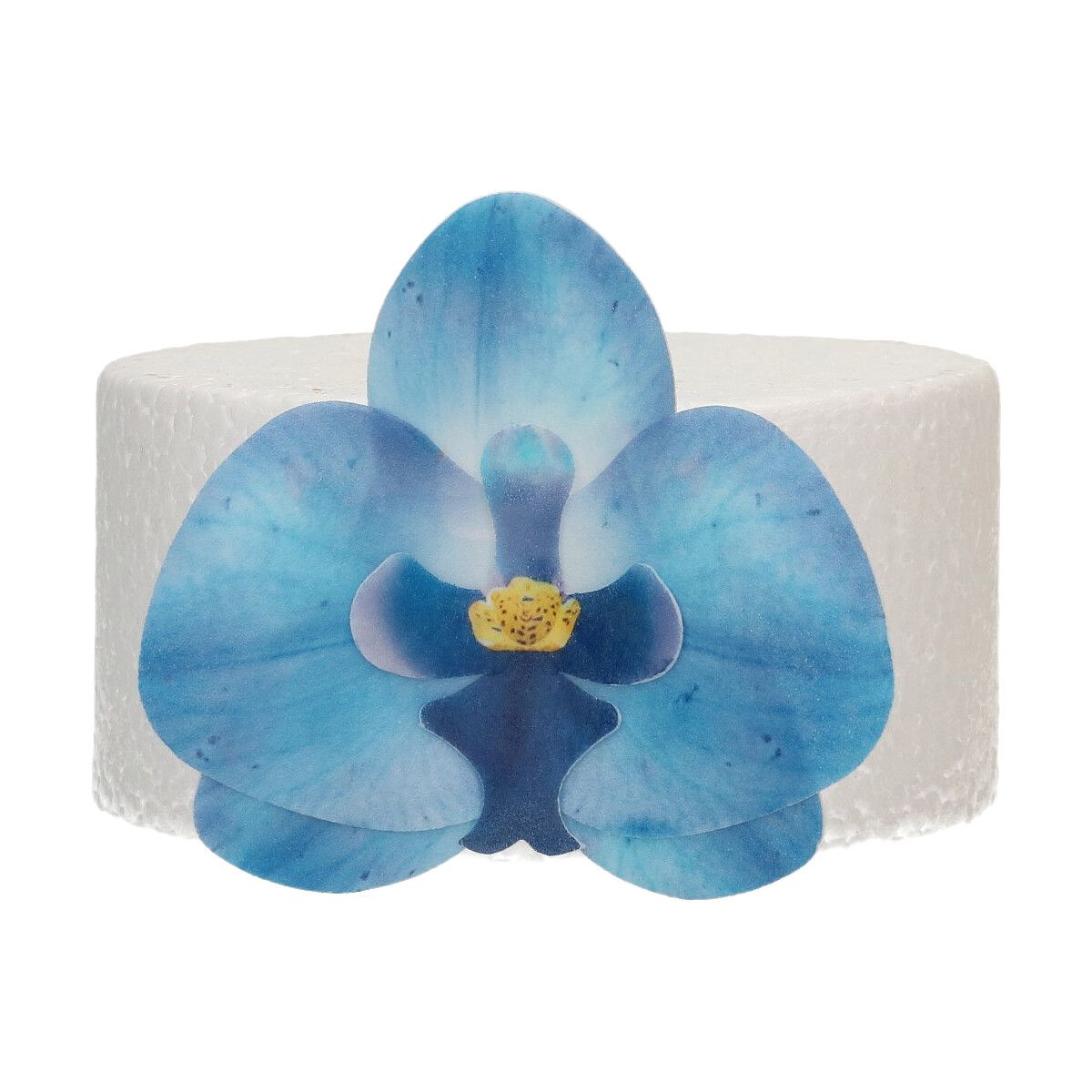 FunCakes Eetbare Papieren Bloemen Deluxe Orchidee Blauw Medium pk/10 - Afbeelding 1