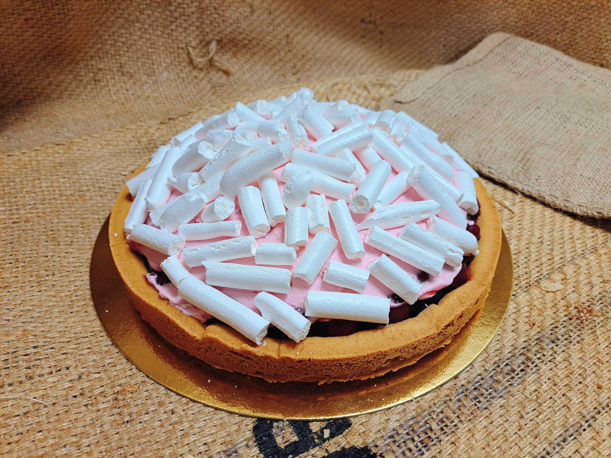 Bakpakket Skitaart