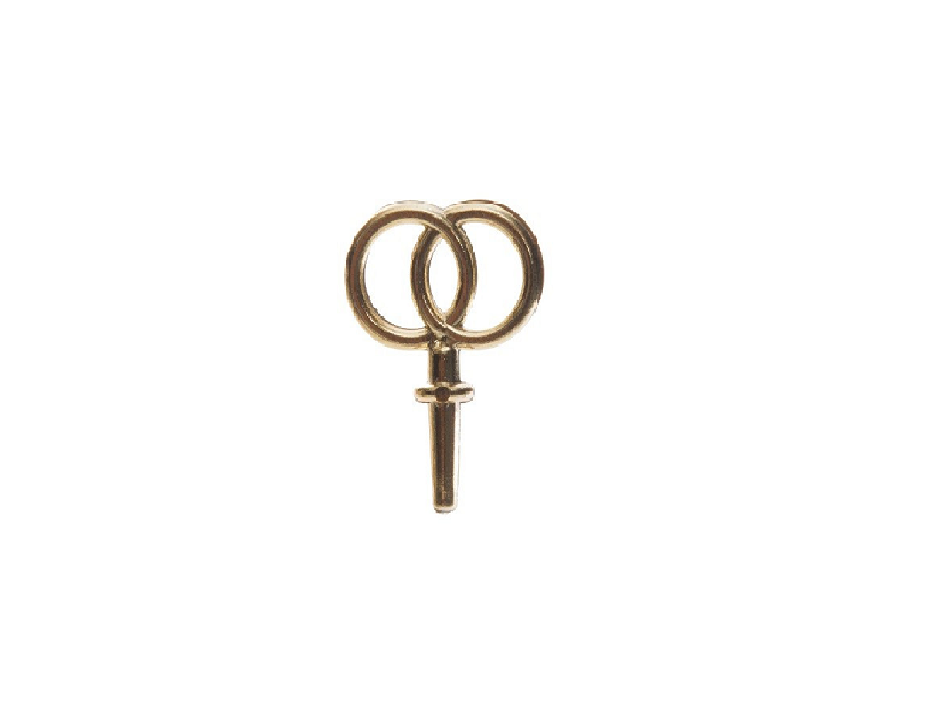 Dubbele Ringen Prikker Goud Plastic 3cm 12 st.