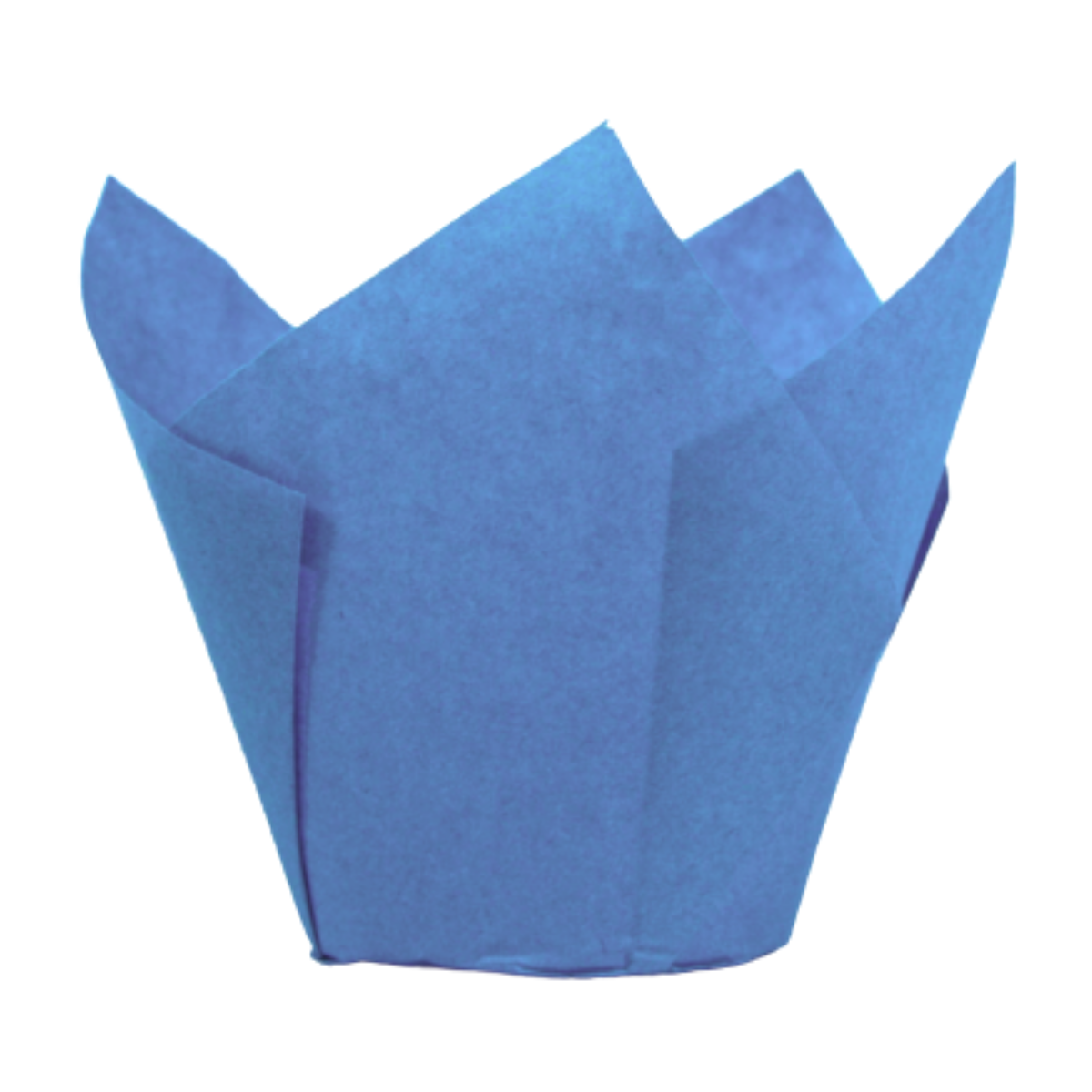 Muffin Cups Tulp Blauw 12 st.