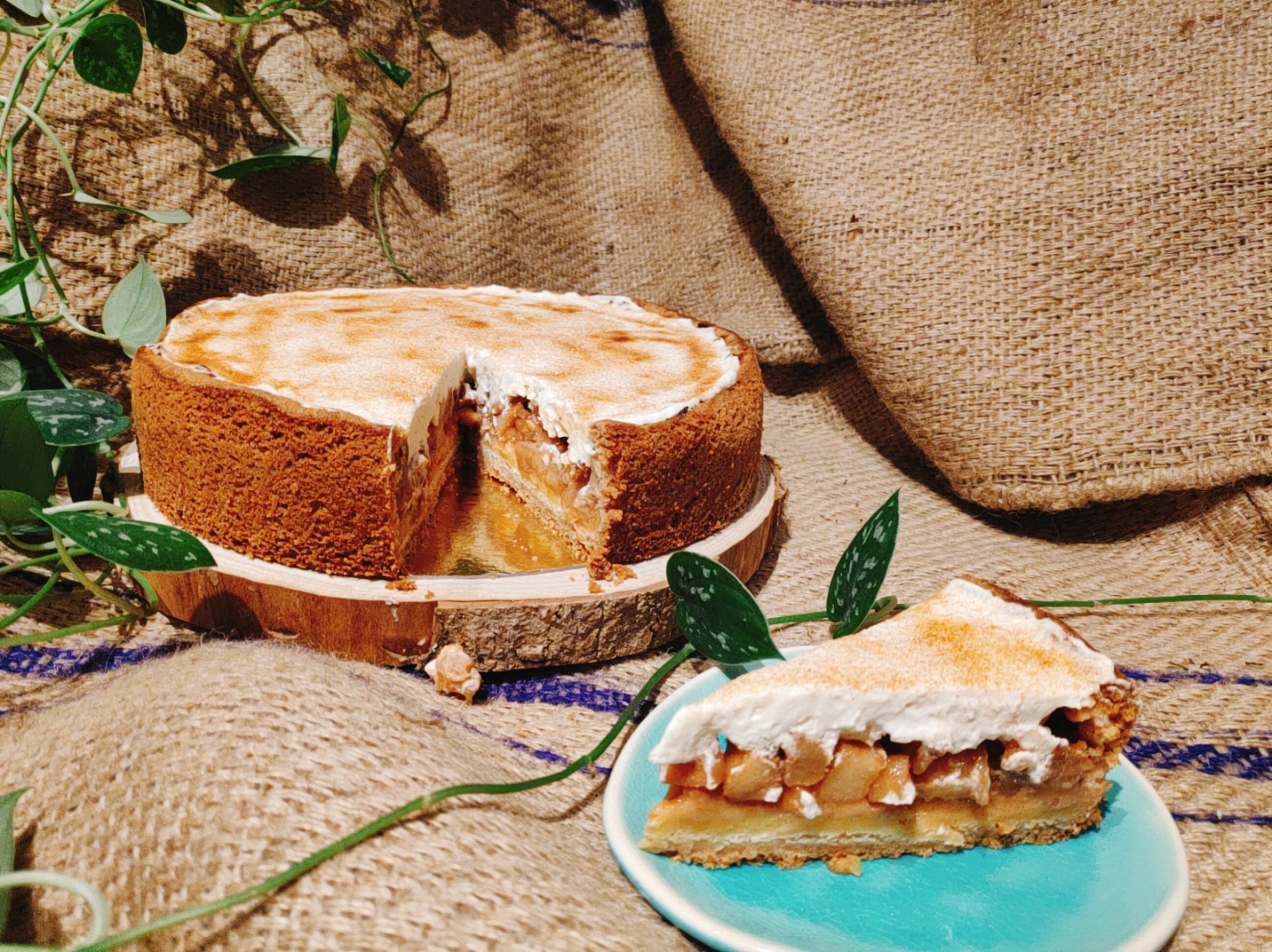 Bakpakket Duitse Appeltaart