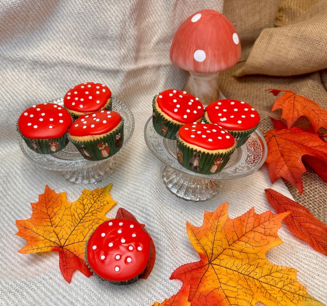 Bakpakket Paddenstoel Cupcakes