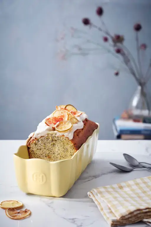 xc85o5w_1 Emile Henry Madeleine Cakevorm - 285x130x90mm - Vanille