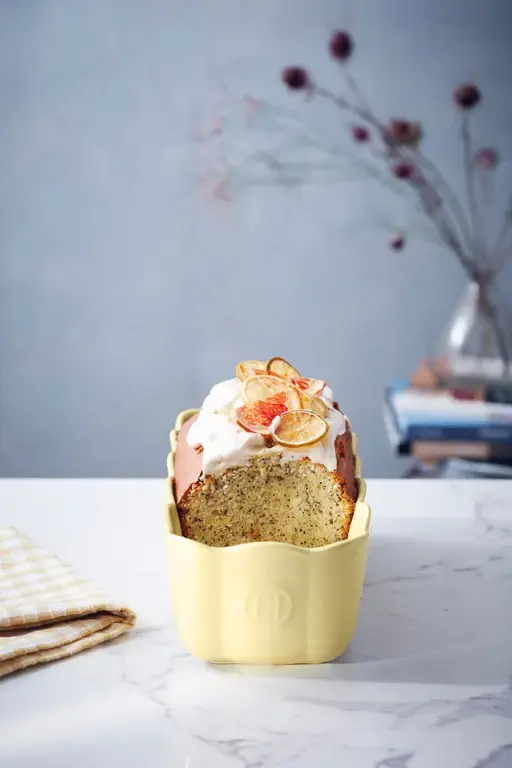 crzp5byb_1 Emile Henry Madeleine Cakevorm - 285x130x90mm - Vanille