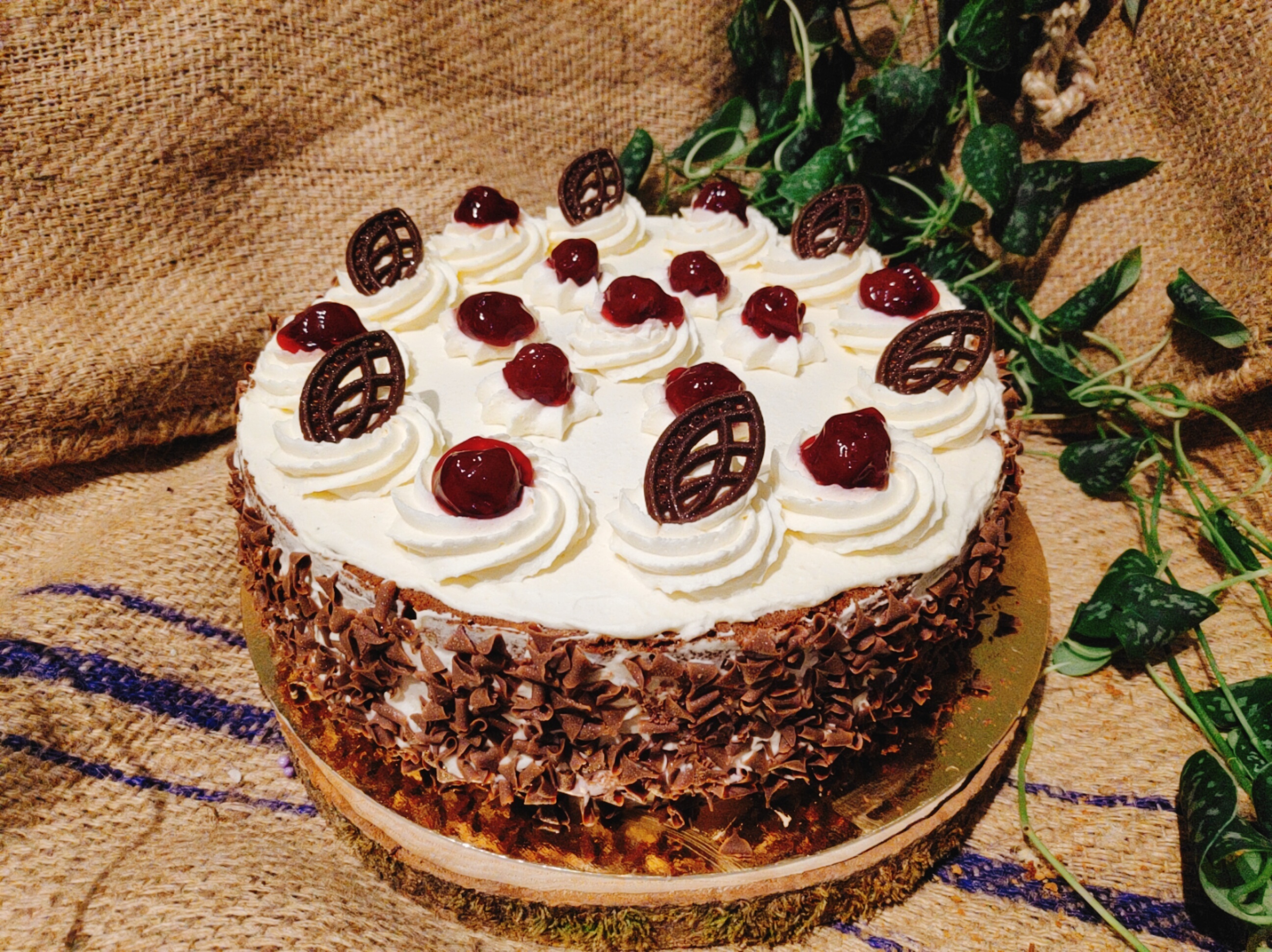 Bakpakket Schwarzwalder Kirsch Torte